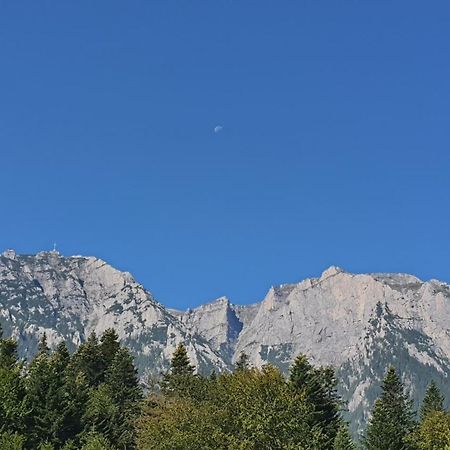 Pensiunea Luna Buşteni Εξωτερικό φωτογραφία